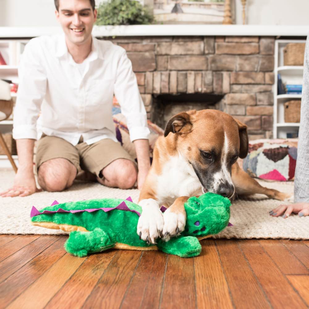 ZippyPaws Grunterz Alvin The Alligator Dog Toy