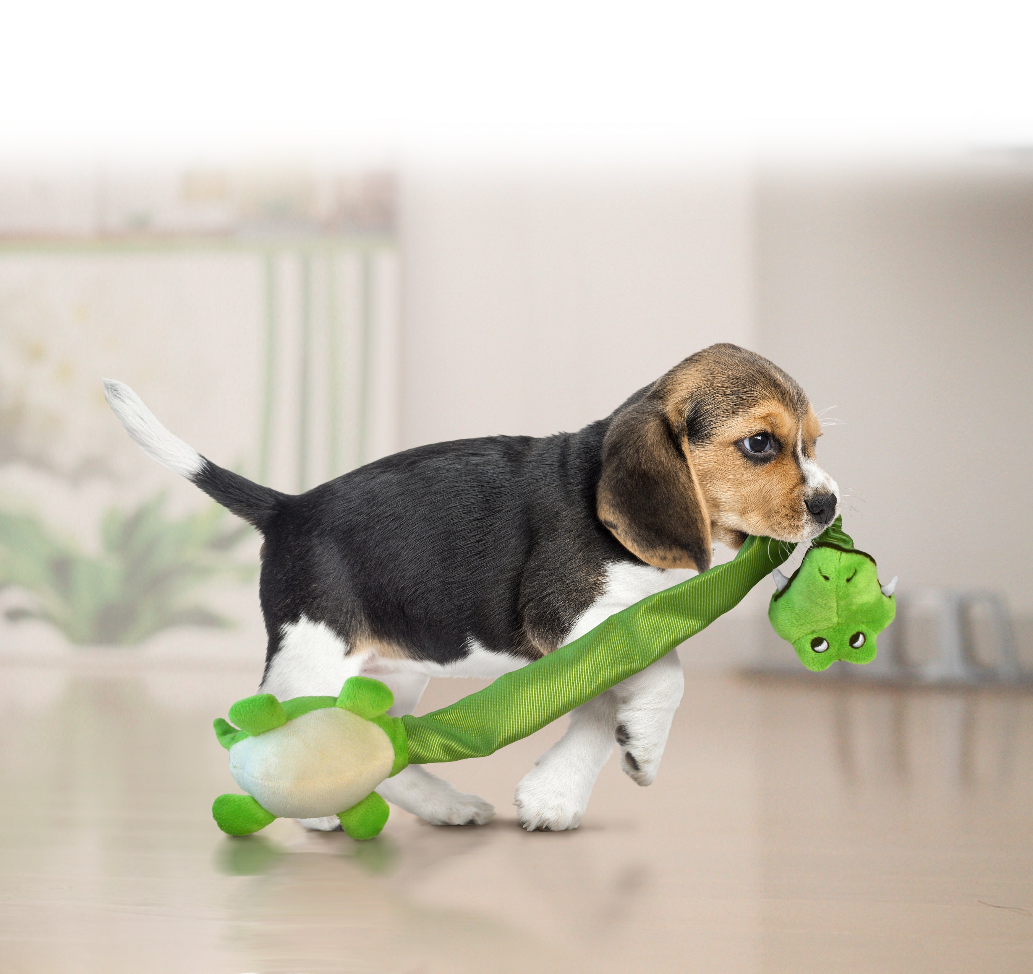 KONG Danglers Alligator Dog Toy