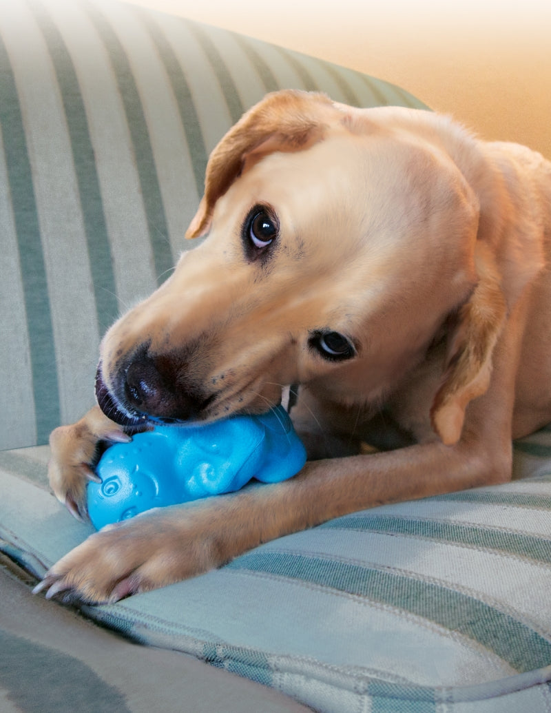 KONG Tuff 'N Lite Octopus Dog Toy Large