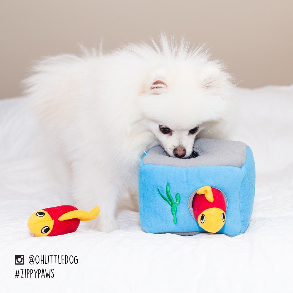 ZippyPaws Burrow Aquarium Dog Toy
