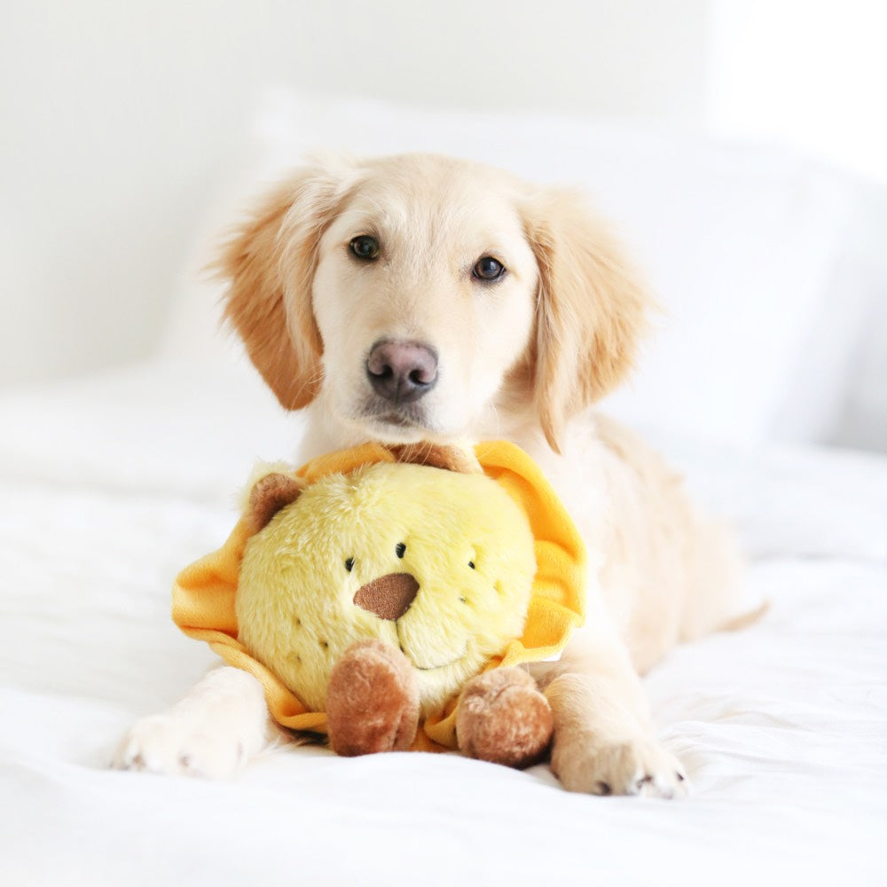 ZippyPaws Brainey Lion Dog Toy